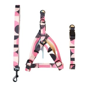 Conjunto Coleira + Coleira Peitoral + Guia Para Cães Rosa