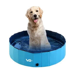 Piscina para Pets Animais de Estimação Azul 120x30 Cm Vg+