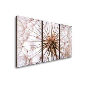 Quadros Decorativos Kit Trio Dente De Leão Rosa Sala Quarto