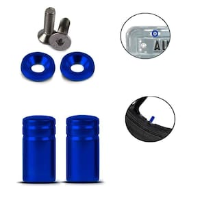 Parafuso de placa e tampa valvula azul redonda