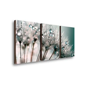 Kit Trio Quadros Decorativo Flores Dente De Leão Em Zoom