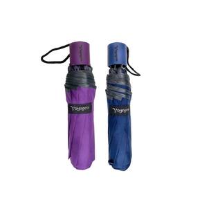 Kit 02 Guardas-Chuva Reforçado Voyagem Roxo E Azul 010L