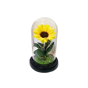 Presente eterno de decoração de girassol para namorados, amor e mãe