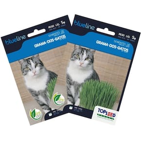 2X Sementes de Grama dos Gatos (Cat Grass) Blueline TOPSEED