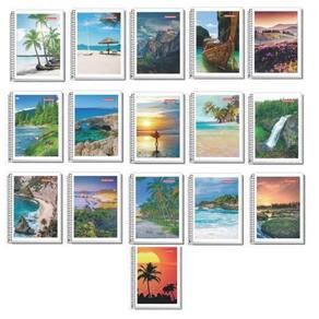 Caderno espiral 1/4 flexivel 96fls pacote  kit 20un