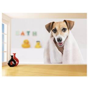 Papel De Parede Animal Cão Petshop Banho Tosa 3,5M Anm397