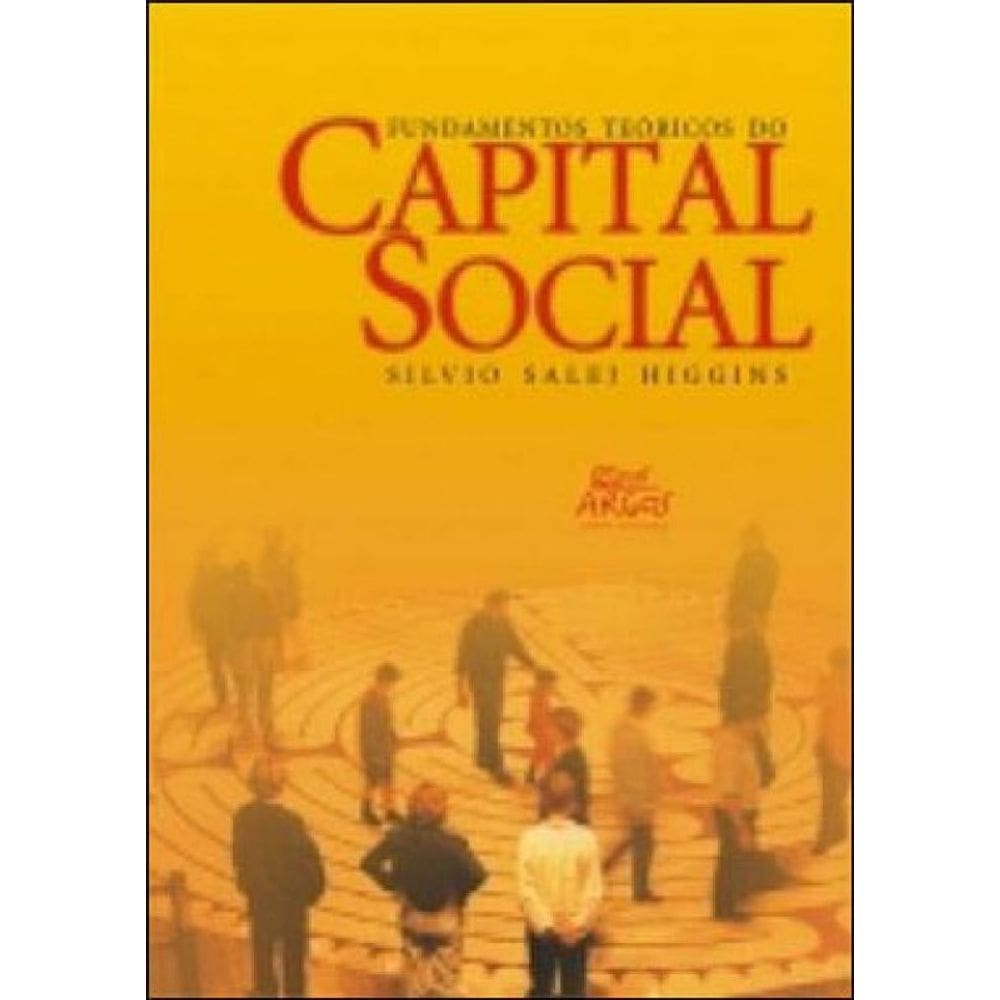 Fundamentos Teoricos Do Capital Social