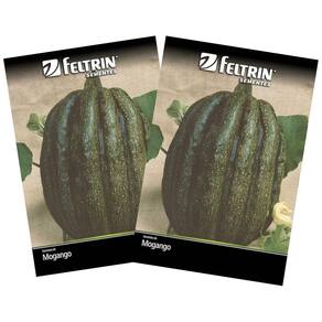 2X Sementes de Abóbora Mogango Sul Mineiro FELTRIN