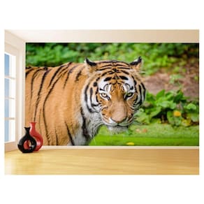 Papel De Parede 3D Animais Tigre Rosto Olhando 3,5M Anm557
