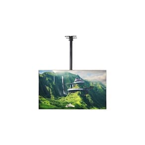 Suporte de montagem de TV de teto 32-70" 50 kg Construção em aço