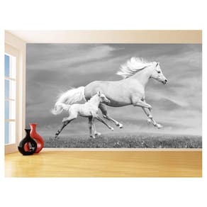 Papel De Parede 3D Animais Cavalo Filhote Potro 3,5M Anm348