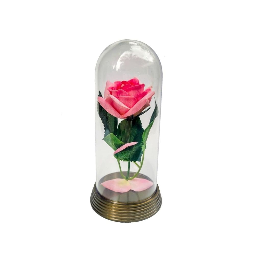 Linda redoma com rosa rosa , inspirada na a rosa encantada
