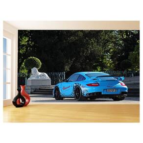 Papel De Parede Carro Porsche 911 Gt2Rs Pista 3,5M Car321