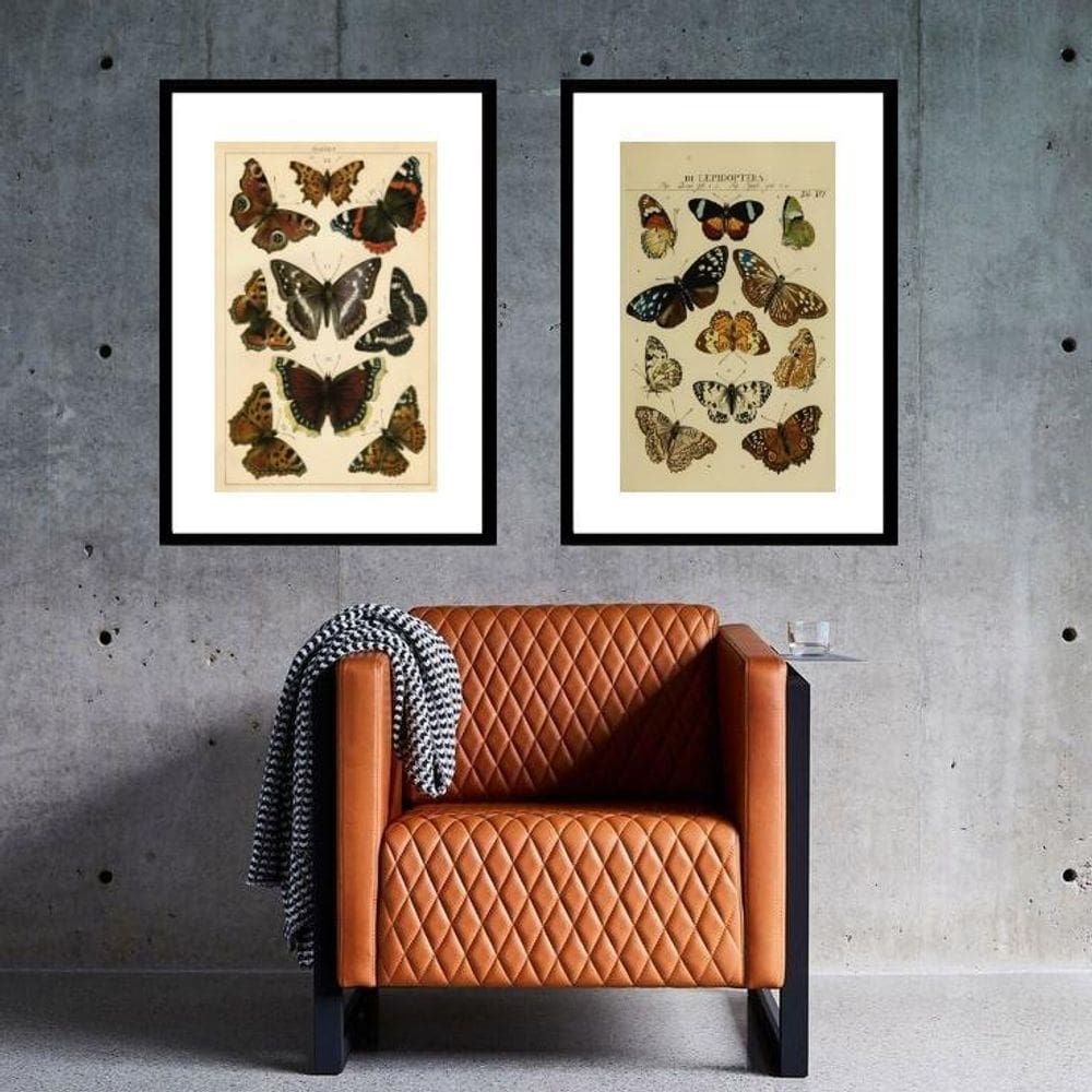 Kit 2 Quadros Borboletas Vintage - 60X48Cm