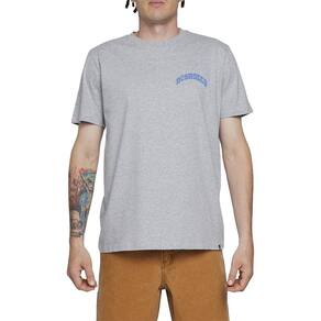 Camiseta DC Shoes Orientation WT24 Masculina Cinza Mescla