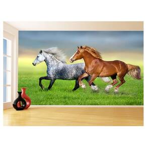 Papel De Parede Animais Casal Cavalos Fazenda 3,5M Anm312