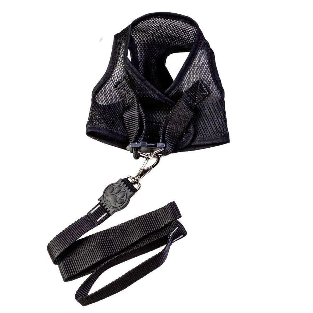 Coleira para cães colete aerado preto gg