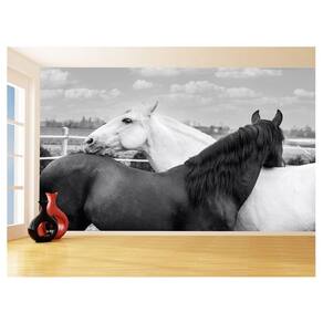 Papel De Parede Animais Casal Cavalos Fazenda 3,5M Anm329