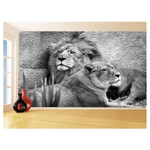 Papel De Parede 3D Animais Leão Família Casal 3,5M Anm505