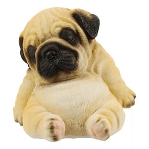 Cachorro Pug Dormindo 12cm - Animais Resina