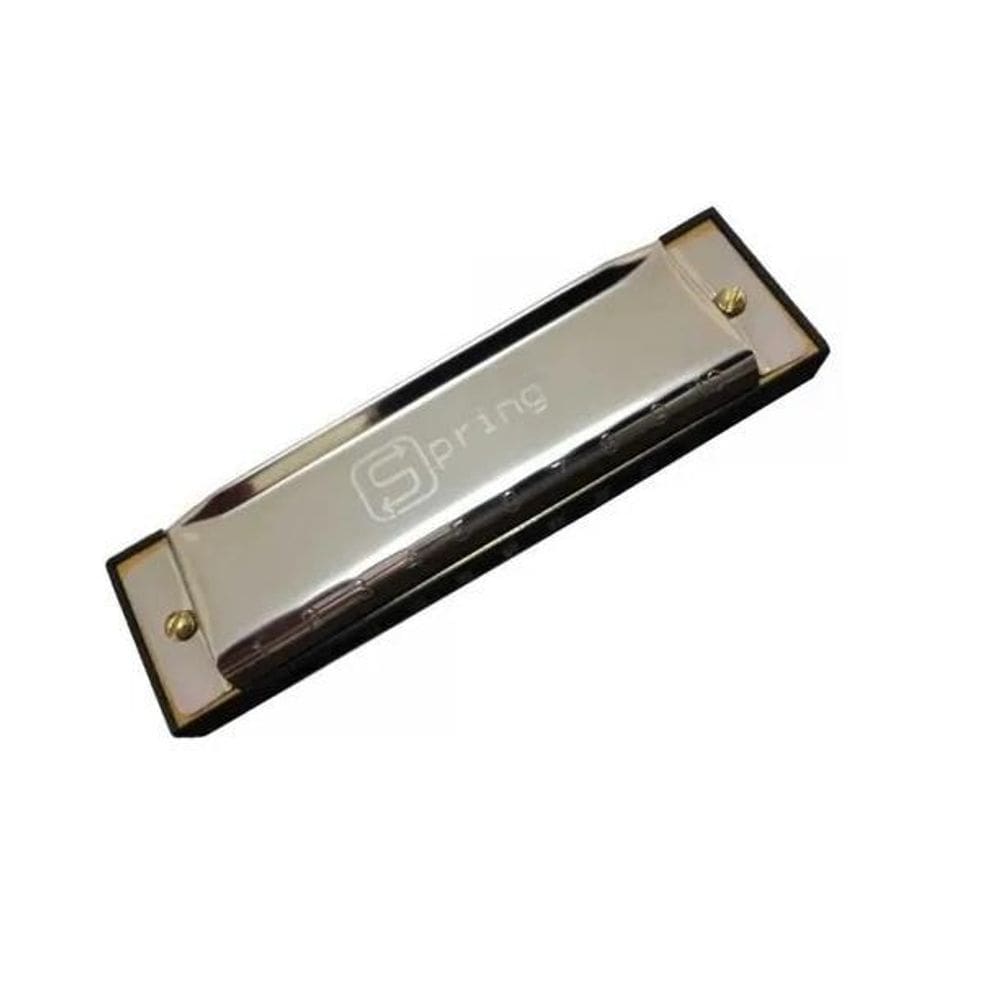 Gaita Harmônica Blues Spring Diatônica G Sol