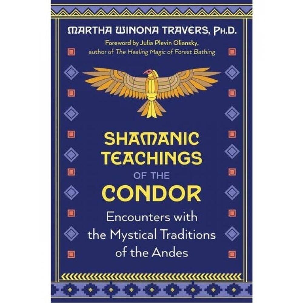 Shamanic Teachings Of The Condor