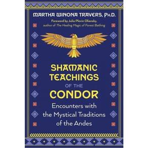 Shamanic Teachings Of The Condor