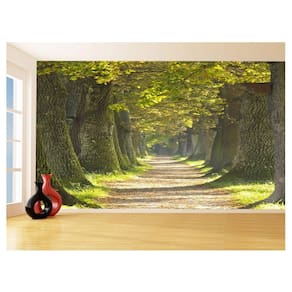 Papel De Parede 3D Estrada Caminho Paisagem 3,5M Nes132