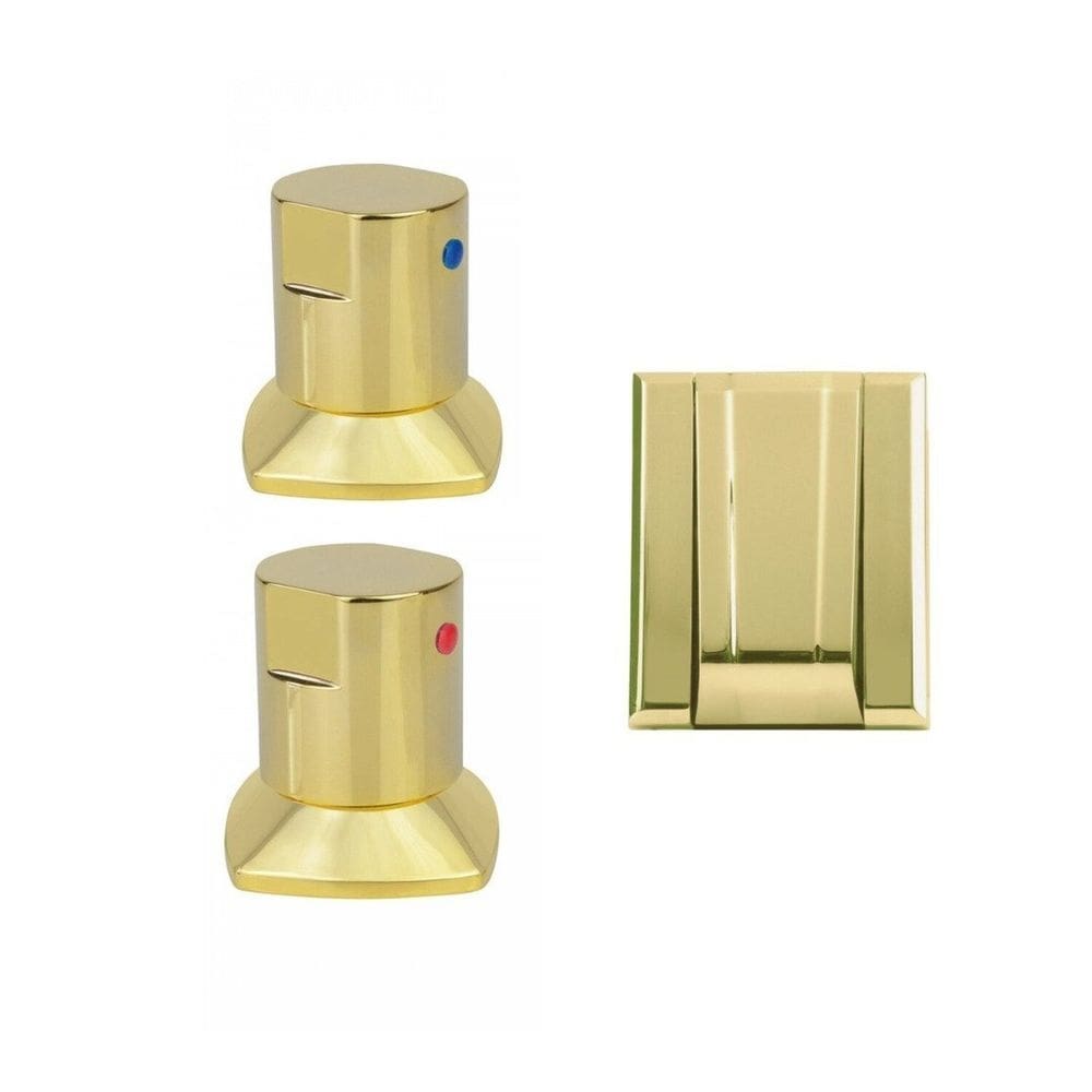 Kit com 2 Acabamento Registro e 1 Válvula de Descarga  Ducon Metais Gold