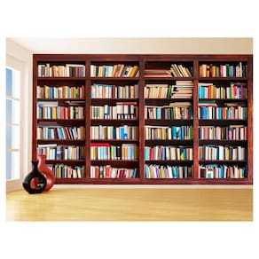 Papel De Parede 3D Estante De Livros Fundo Vídeo 3,5M Est04