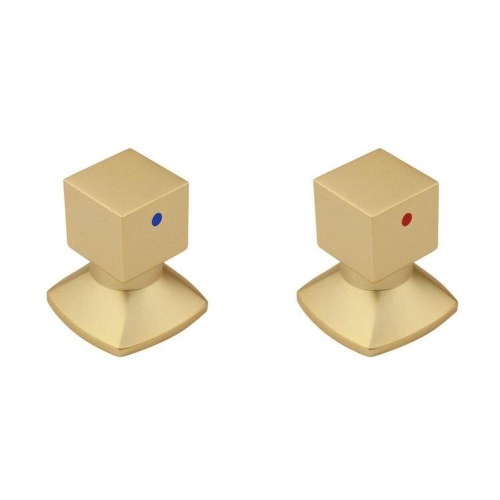 Kit com 2 Acabamentos para Registro C46 Água Quente/Fria Ducon Metais Gold