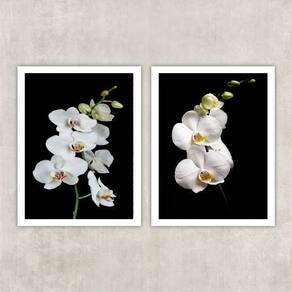 Kit 2 Quadros Fotografia Orquídeas Brancas 24X18Cm