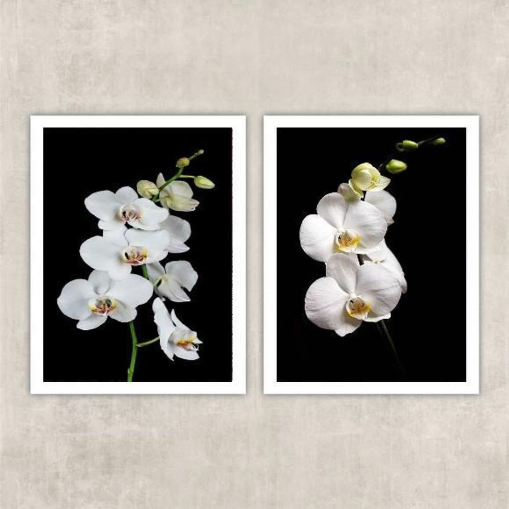 Kit 2 Quadros Fotografia Orquídeas Brancas 45X34Cm - Vidro