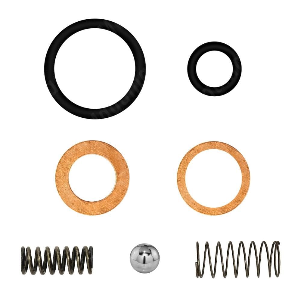 Kit Reparo Bomba Injetora Motor Yanmar Ns 