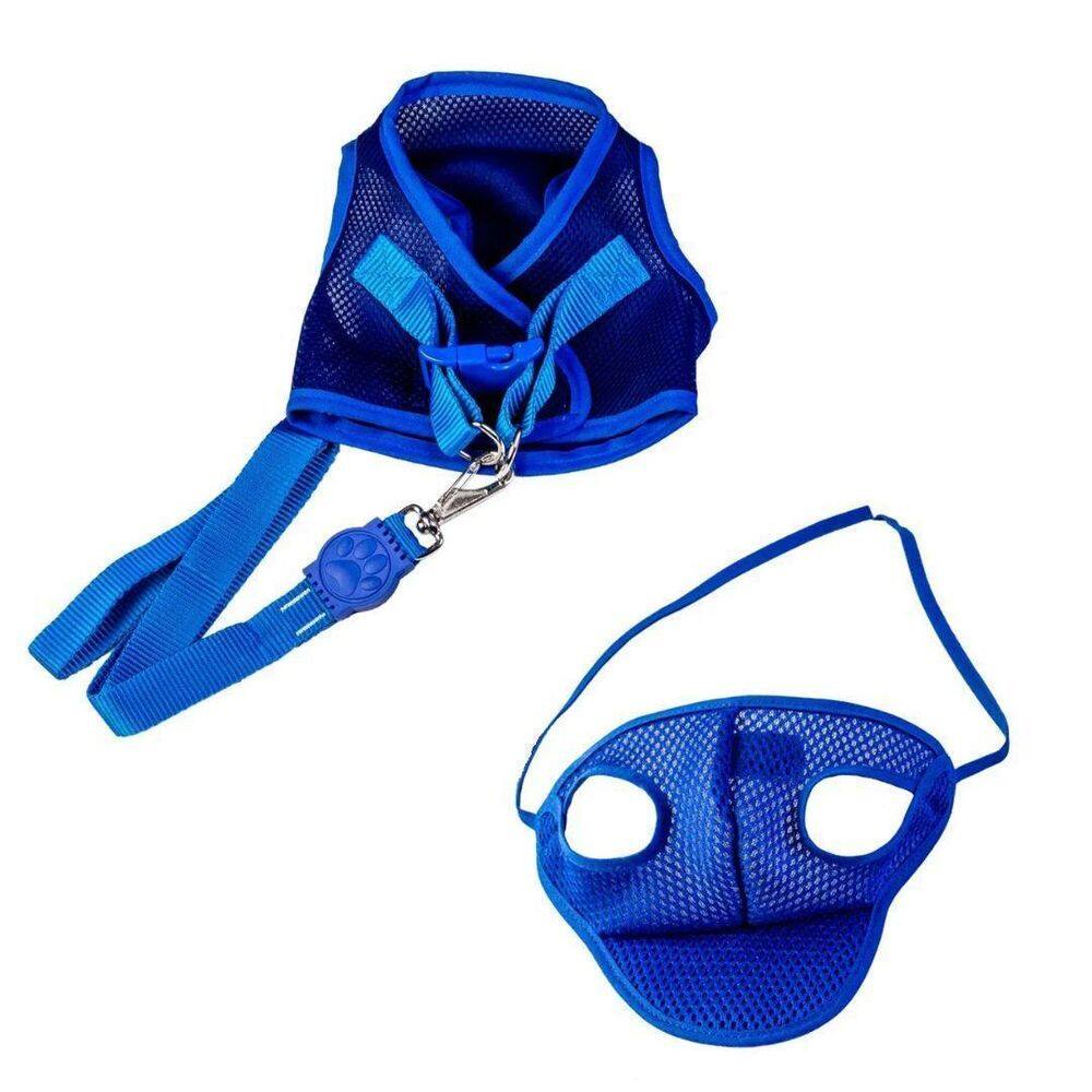 Kit boné e coleira peitoral para pets azul gg