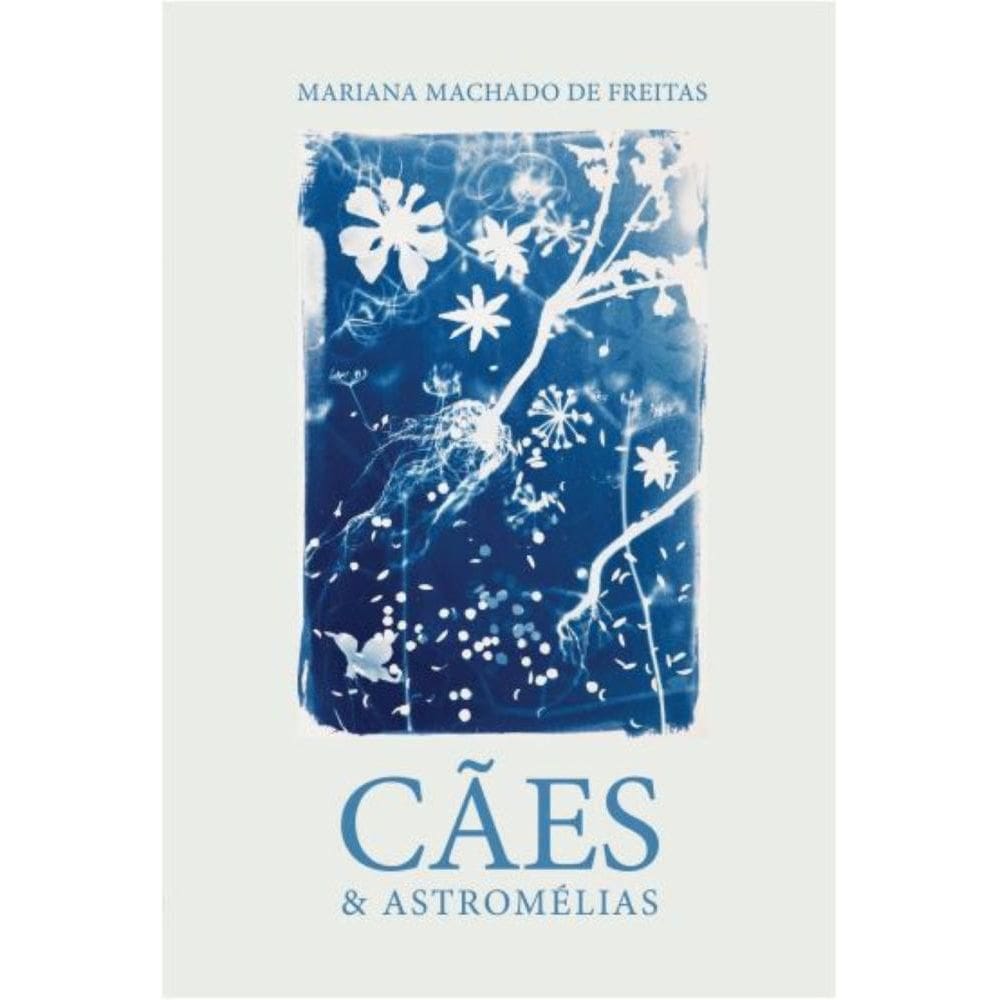 Cães & Astromélias