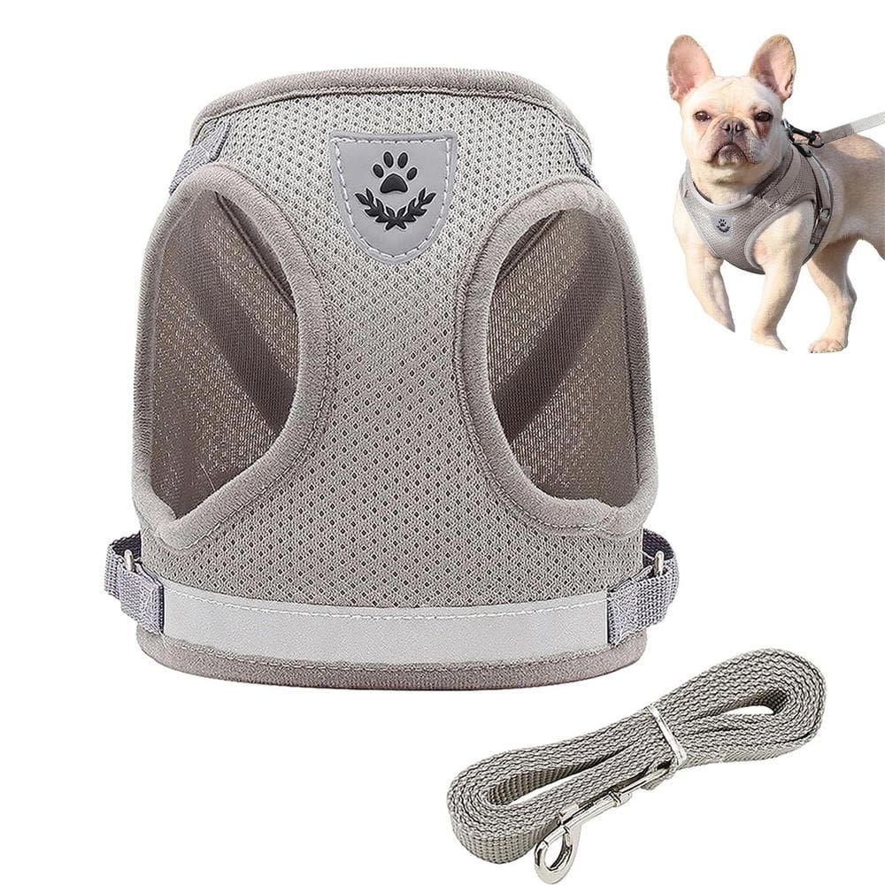 Peitorial Guia Cachorro Gato Cao Pet Coleira Colete Faixa Refletiva Animal de Estimaçao Lazer