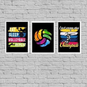 Kit 3 Quadros Volleyball Retrô 45X34Cm Branca
