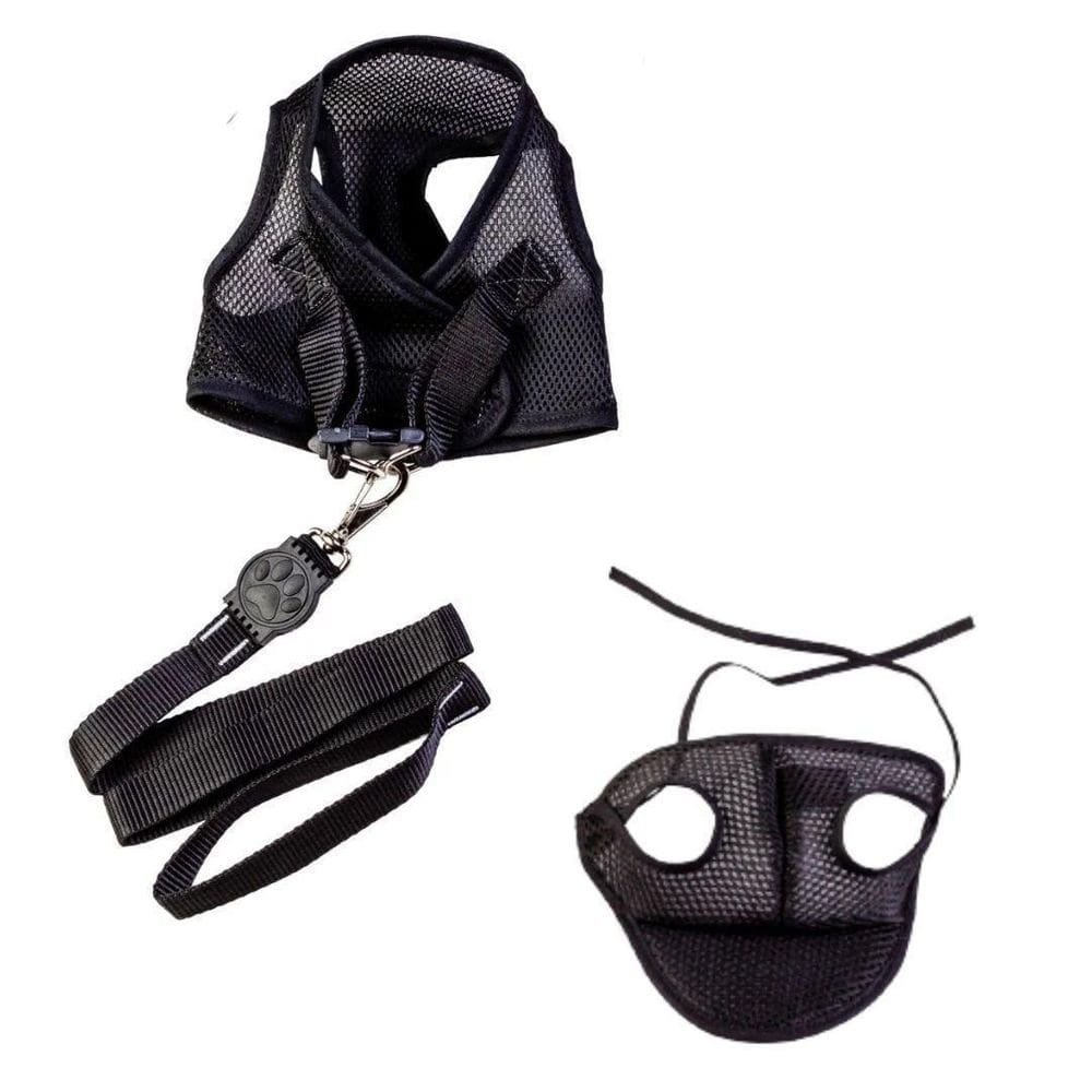 Kit boné e peitoral com guia aerado para cães preto pp