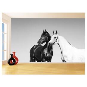 Papel De Parede Animais Casal Cavalos Fazenda 3,5M Anm331