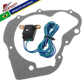 Bobina de Pulso Virago 250 + Junta - Wortech