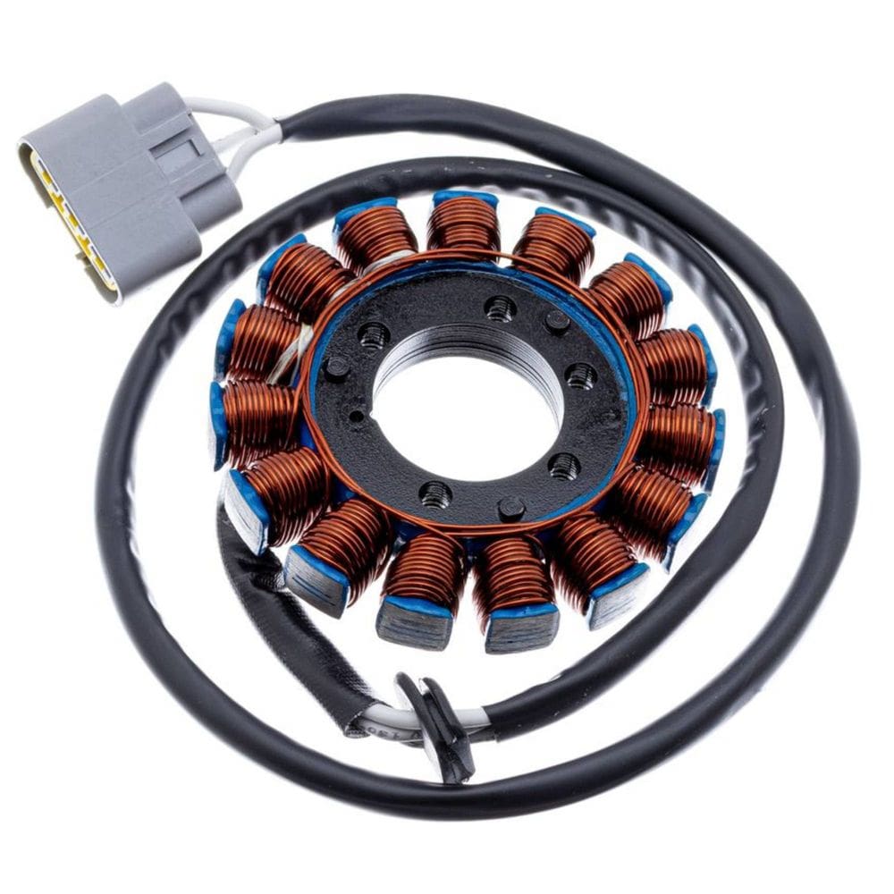 Estator Bmw S 1000 R (13-19) Wortech