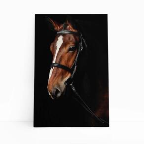 Quadro Canvas Cavalo Animais Fotografia Fundo Preto 60X40Cm
