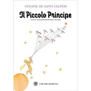 Piccolo Principe, Il