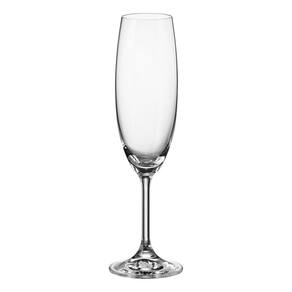 JG 6PÇ TAÇAS CHAMPANHE BOHEMIA BRUNA CRISTAL 220ml 23x6x6cm TRANSPARENTE