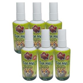 Catnip Líquido Para Gatos Atrativo 100ml 6 Unidades