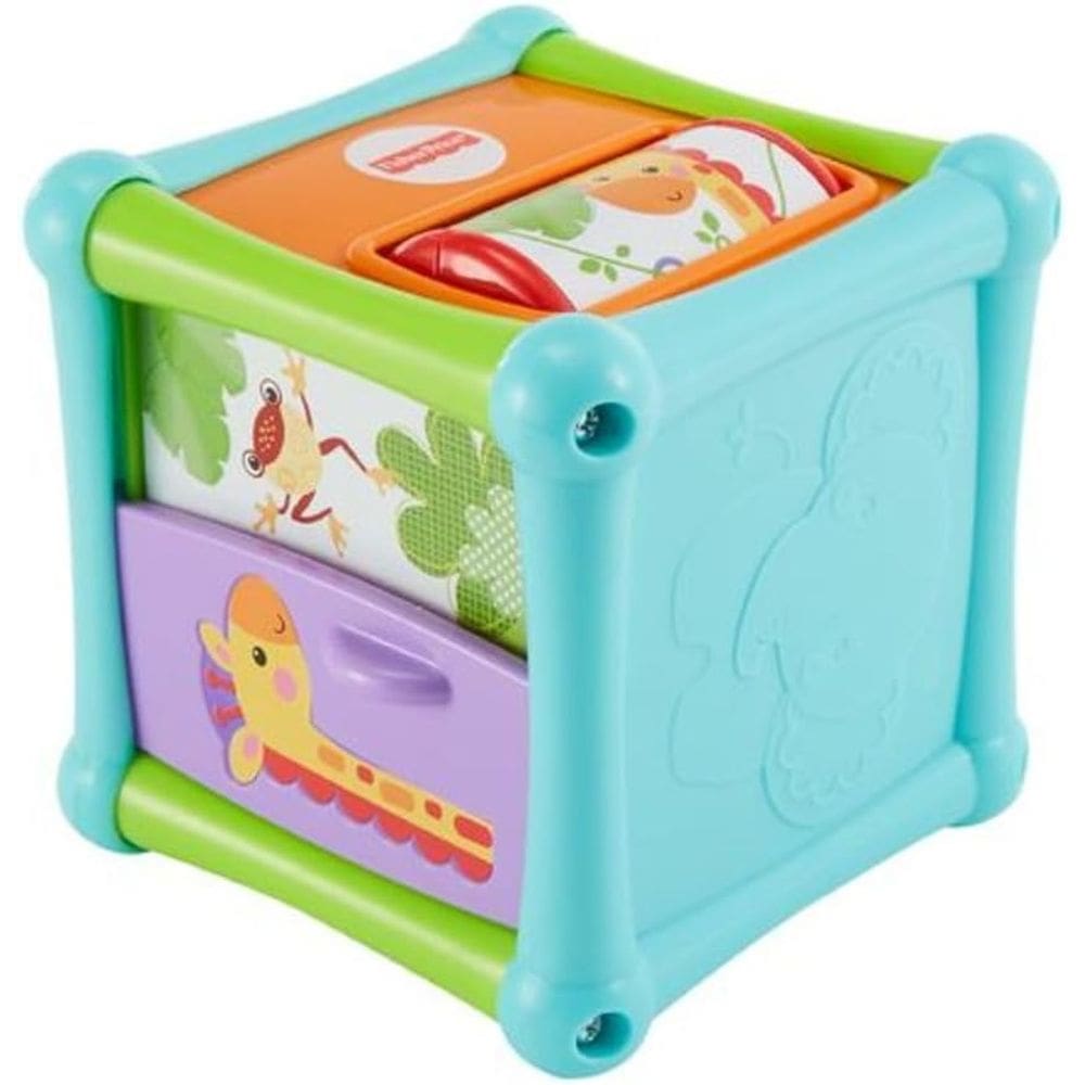 Bfh80 Cubo Animaizinhos Divertidos Fisher-Price