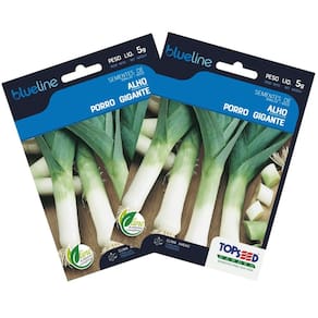 2X Sementes de Alho Porro (Gigante) Blueline TOPSEED