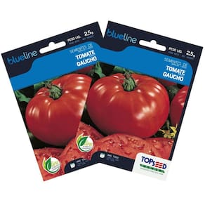2X Sementes de Tomate Gaúcho Blueline TOPSEED