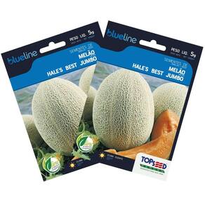 2X Sementes de Melão Hales Best Jumbo Blueline TOPSEED